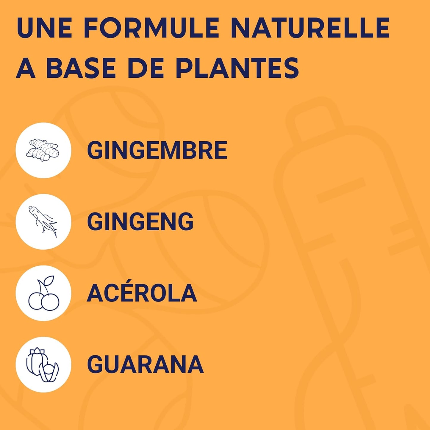 Formule Boost Bio | Anti-Fatigue | Immunité et Énergie |