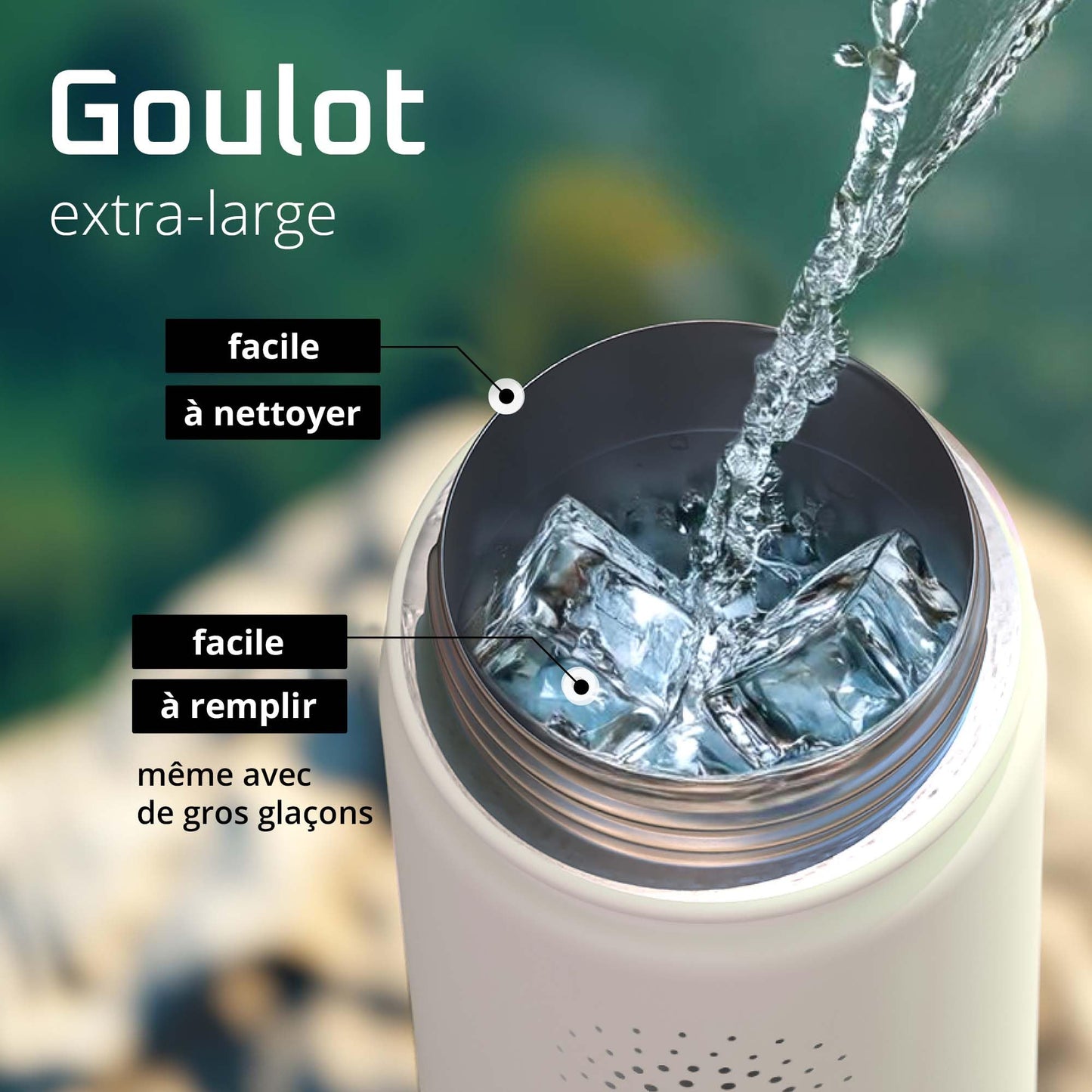 Gourde Inox Isotherme avec 3 Bouchons + Infuseur Thé/Fruits | Sans BPA