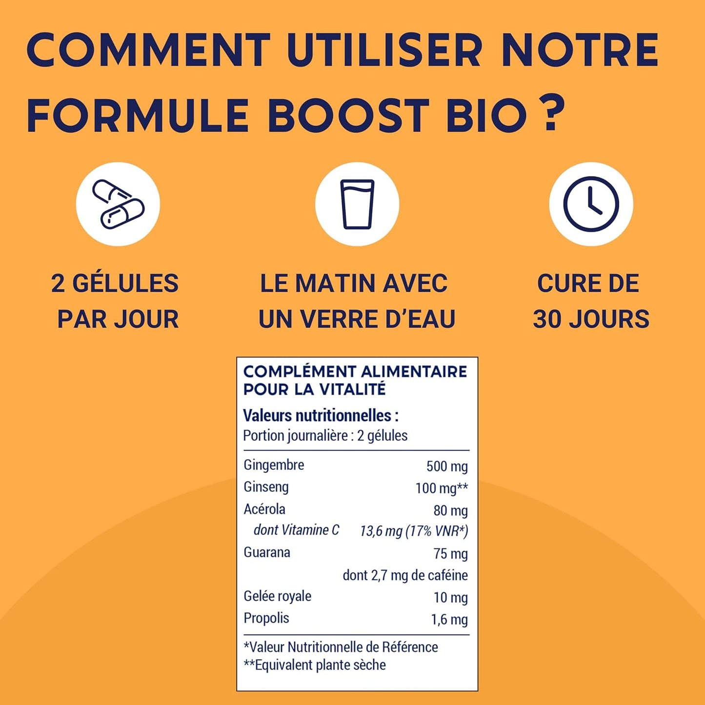 Formule Boost Bio | Anti-Fatigue | Immunité et Énergie |