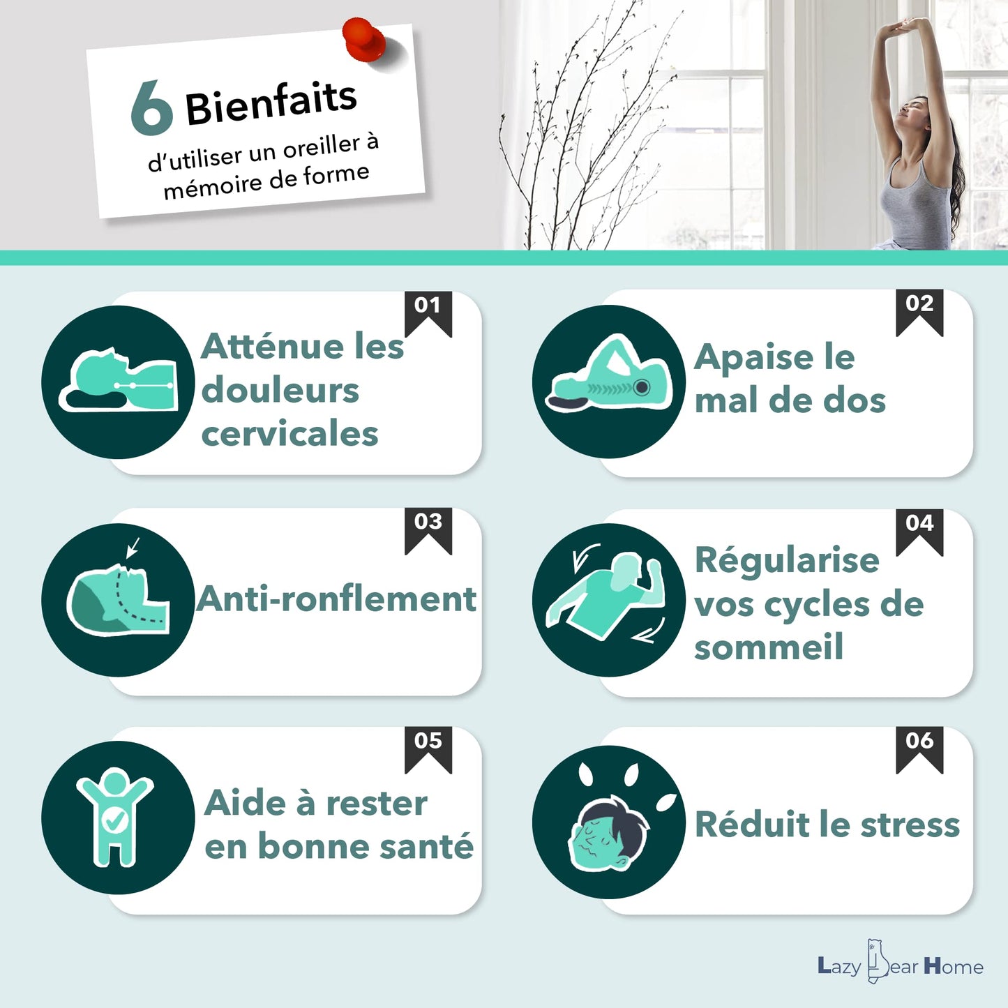 Lazy Bear Home – Oreiller Mémoire de Forme Ergonomique