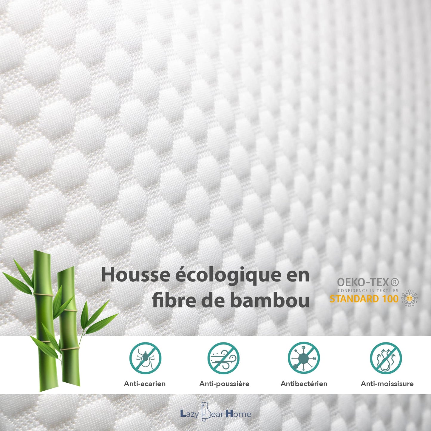 Lazy Bear Home – Oreiller Mémoire de Forme Ergonomique