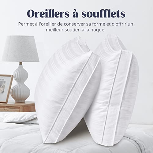 puredown® Oreillers en Plumes d'oie Lot de 2