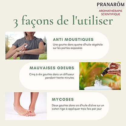 PRANARÔM - Huile Essentielle de Citronnelle de Java Partie Aérienne - Anti-moustiques - 100% Pure Et Naturelle - HECT - 10 ml