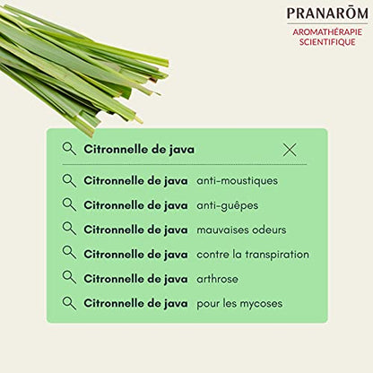 PRANARÔM - Huile Essentielle de Citronnelle de Java Partie Aérienne - Anti-moustiques - 100% Pure Et Naturelle - HECT - 10 ml