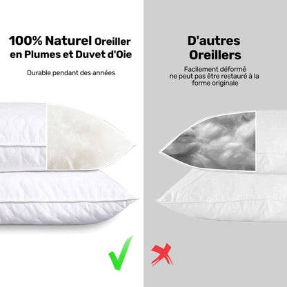 puredown® Oreillers en Plumes d'oie Lot de 2