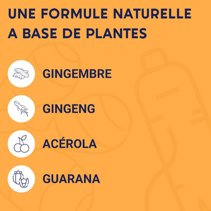 Formule Boost Bio | Anti-Fatigue | Immunité et Énergie |