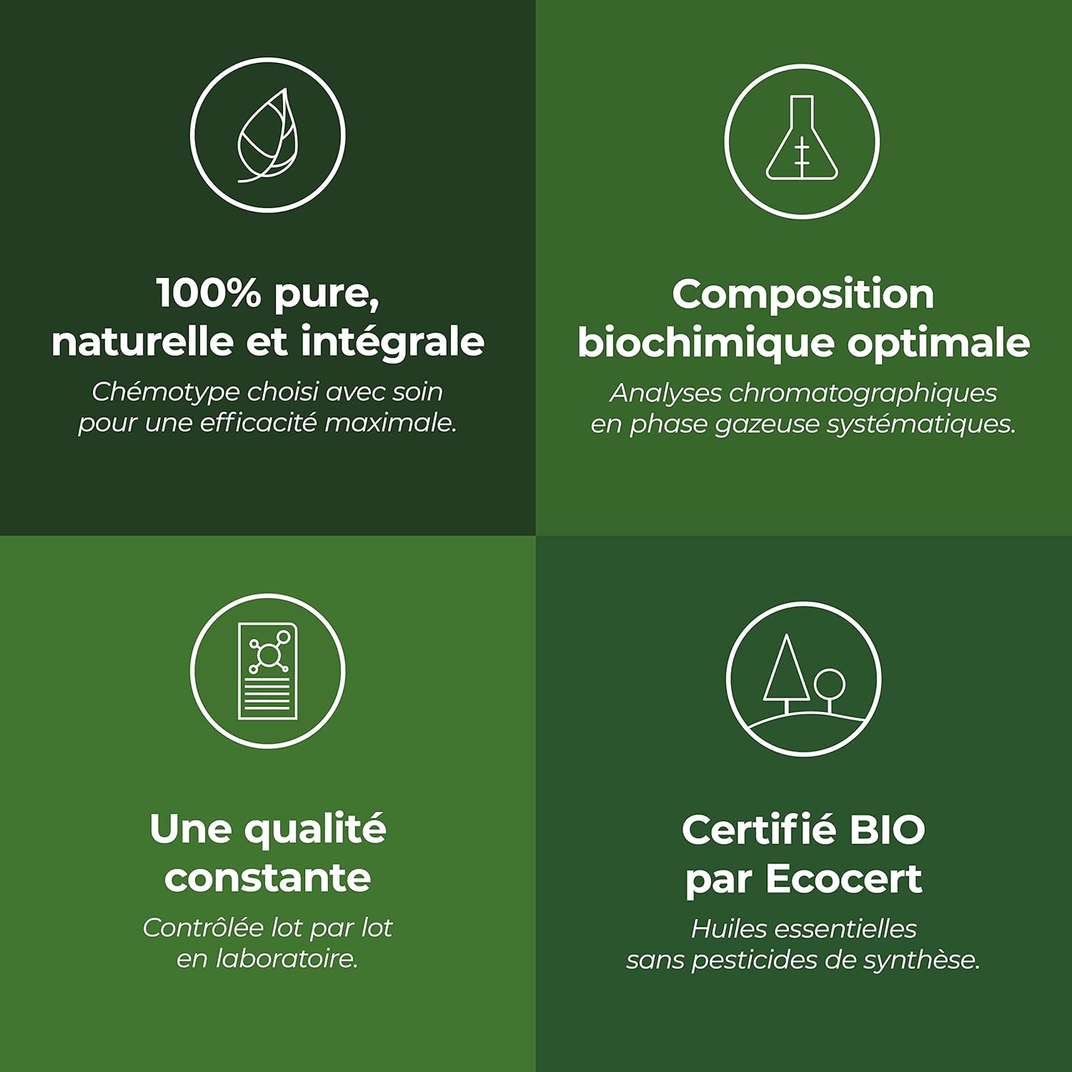 Huile Essentielle BIO Camomille Sauvage 5mL | Pure, Naturelle