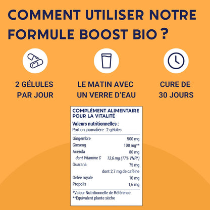 Formule Boost Bio | Anti-Fatigue | Immunité et Énergie |