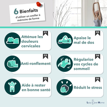 Lazy Bear Home – Oreiller Mémoire de Forme Ergonomique