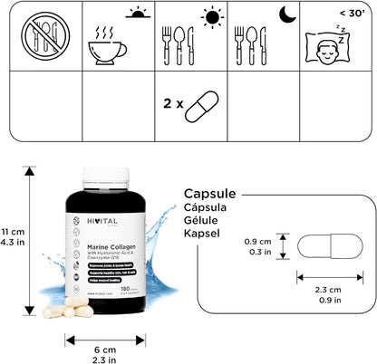 Collagène Marin et Acide Hyaluronique | Coenzyme Q10, Vitamine C, Zinc