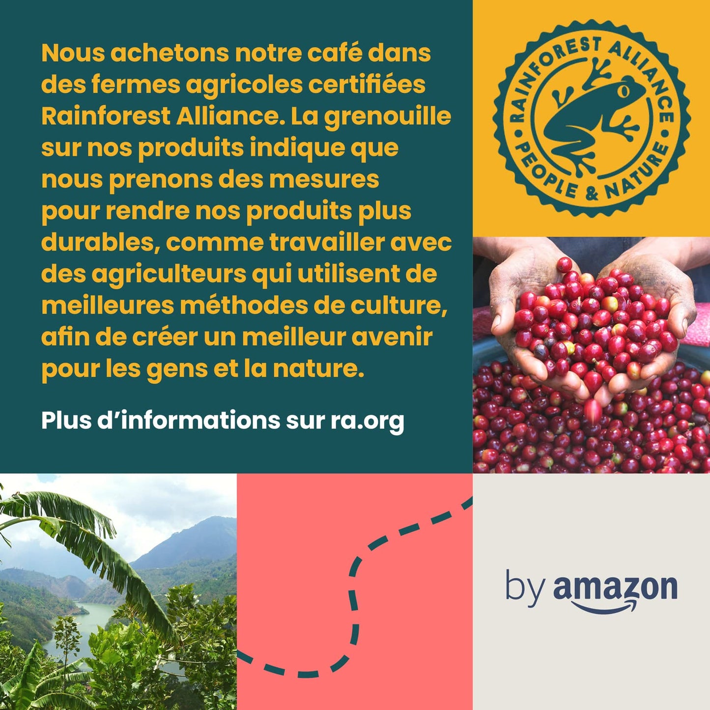 Café en grains Caffé Intenso- Certifié Rainforest Alliance