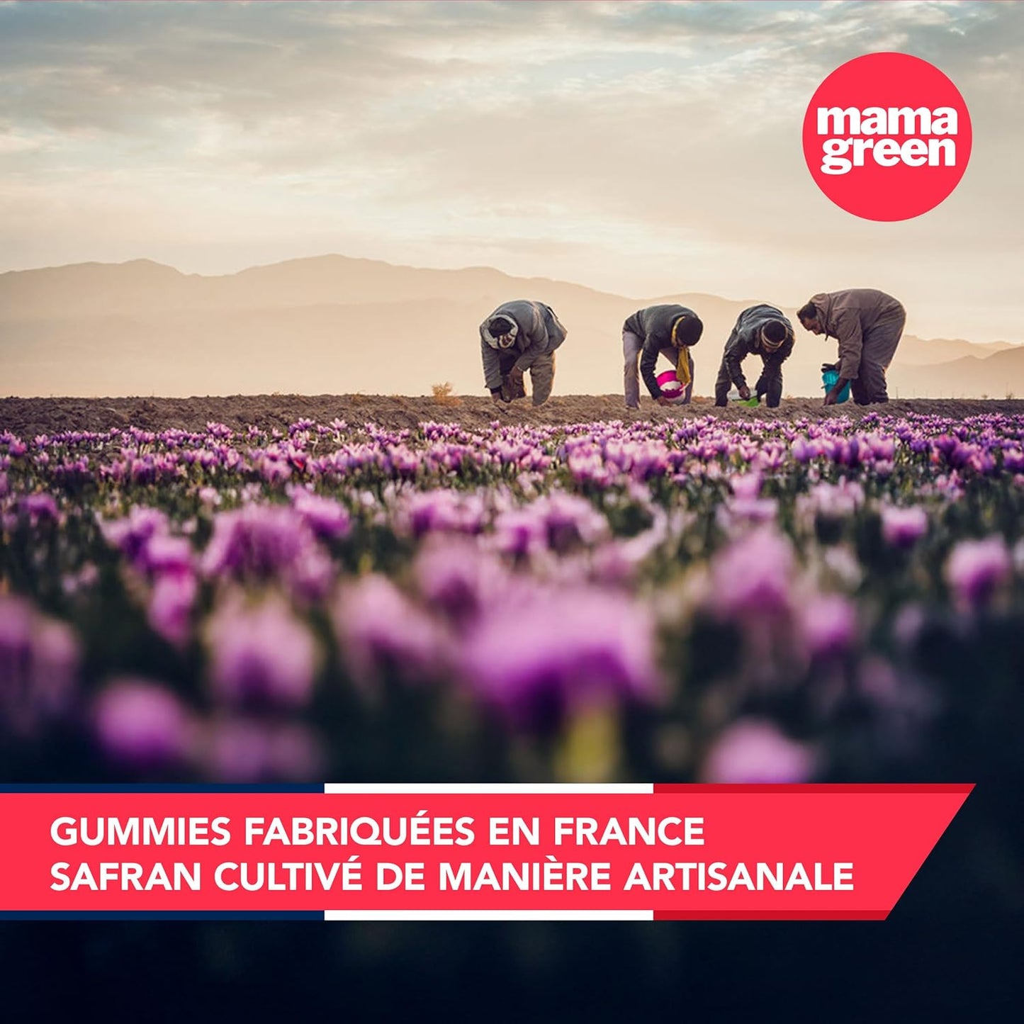 Gummies Safran B6 – Sans Sucres – 60 Gummies – Fabriqué en France 🇫🇷